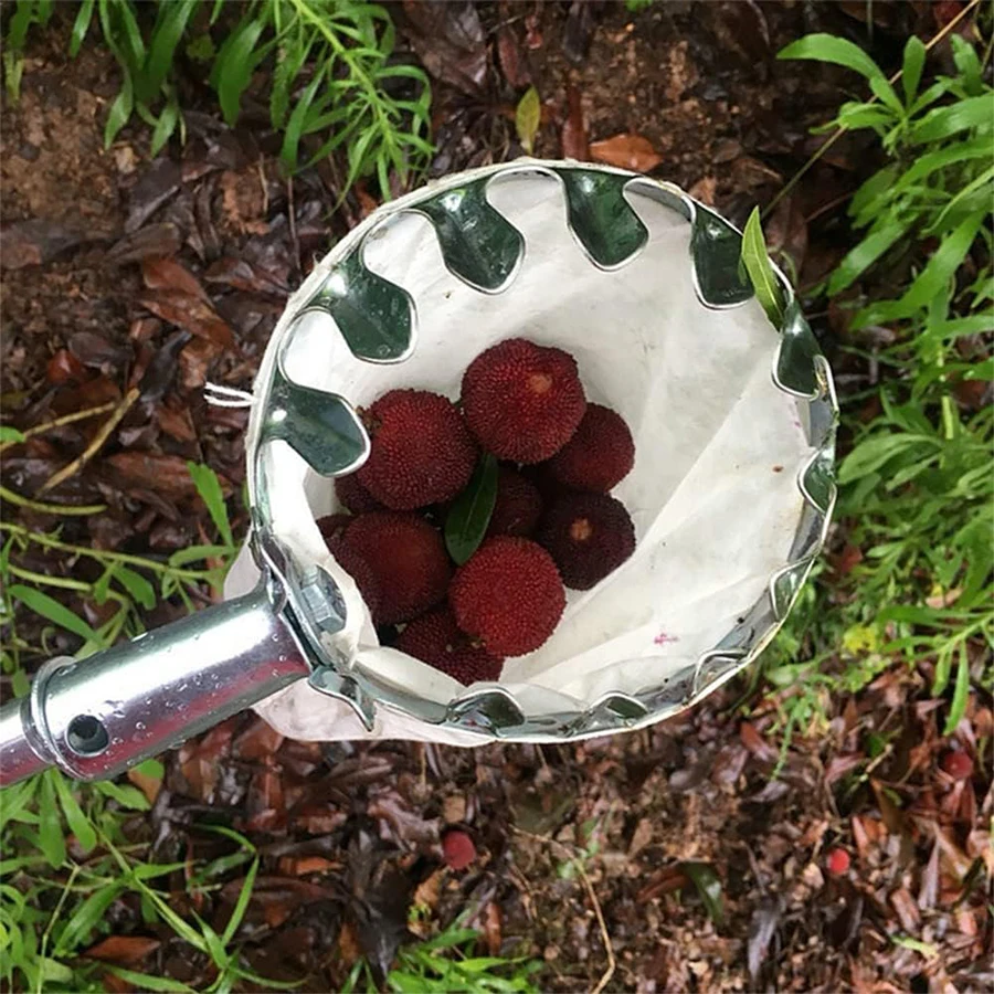 Baumfrucht-Pflücker Praktische – Agriculture Farming Practices Bewertung und Preis