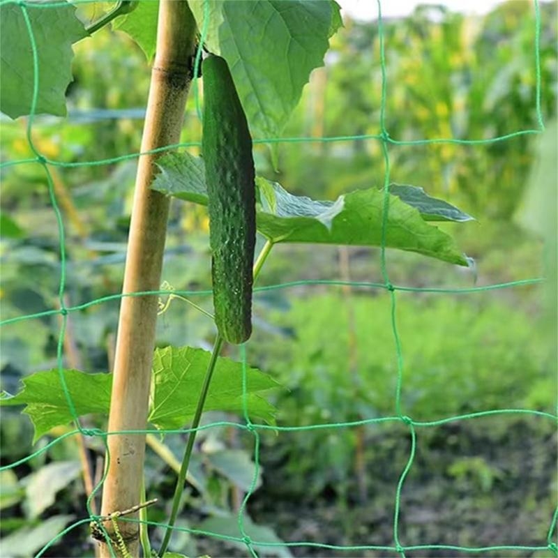 Gartengitternetz, Pflanzenstüt – Agriculture Farming Net Bewertung und Preis