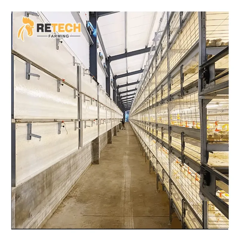 Automatischer H-Typ Broiler-Hü – Farming Africa Bewertung und Preis